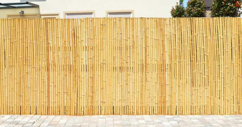 Bamboo privacy fence
