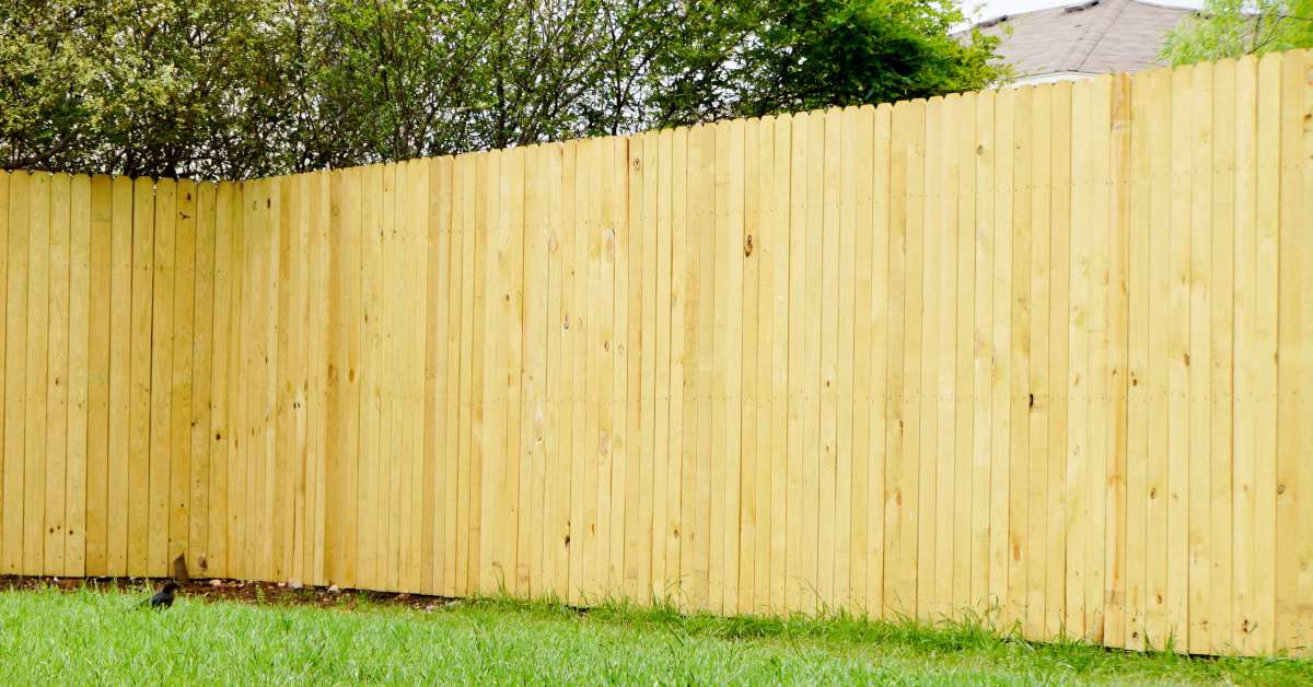 white cedar privacy fence